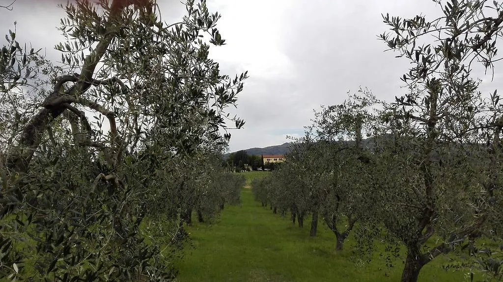 Agriturismo Luggiano Vinci