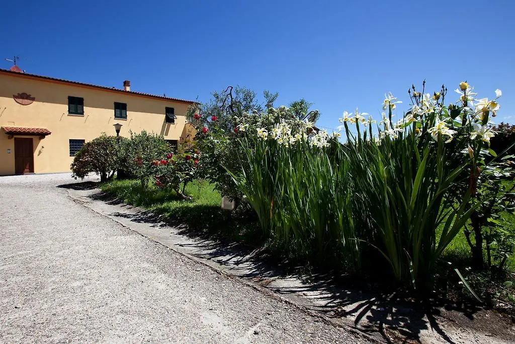 Agriturismo Luggiano Vinci Italy